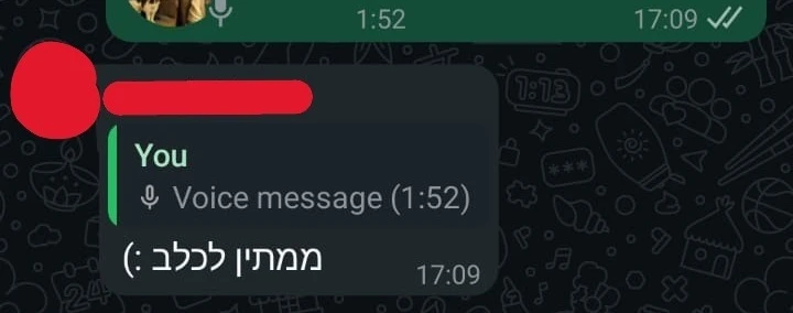 User eager for speech-to-text feature